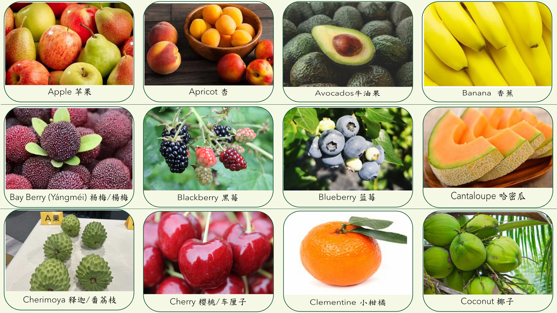 Food category slide 3