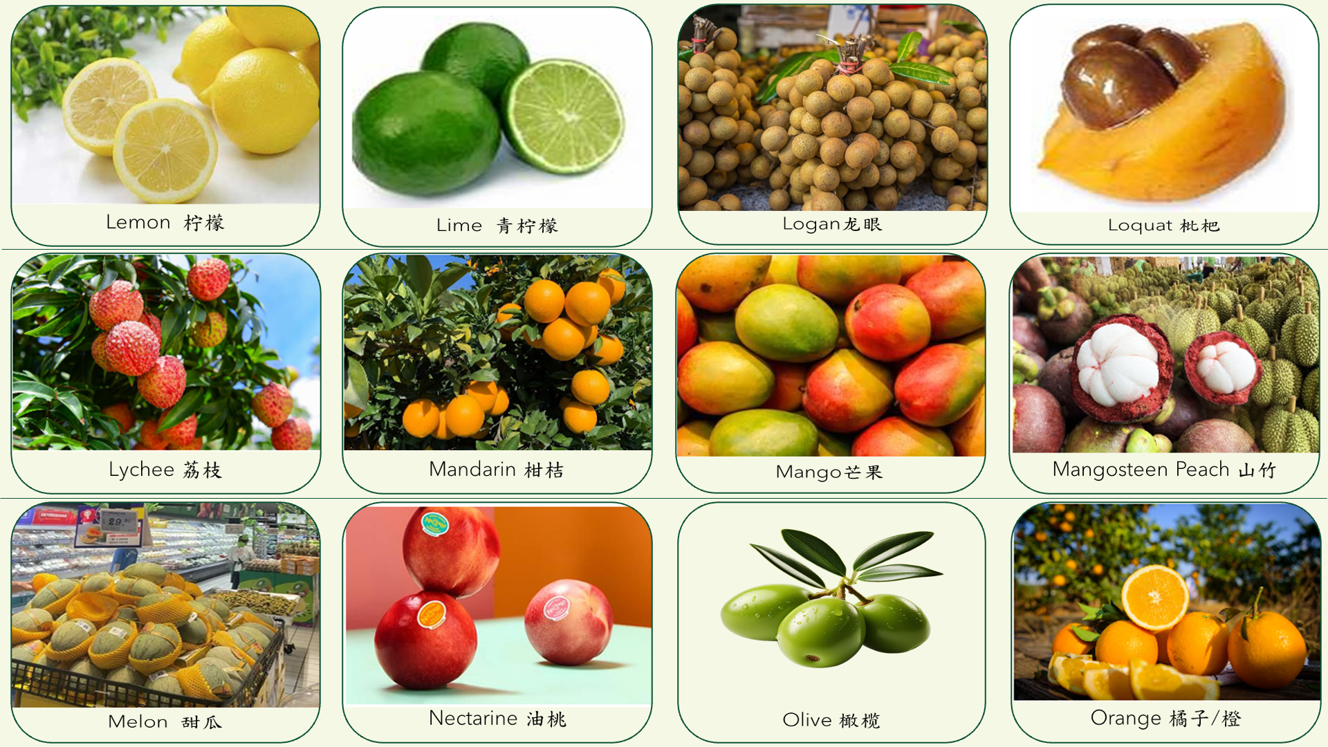 Food category slide 5